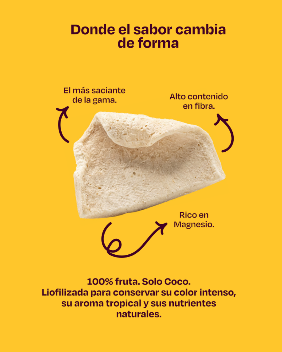 Beneficios coco liofilizado Norfeu Foods